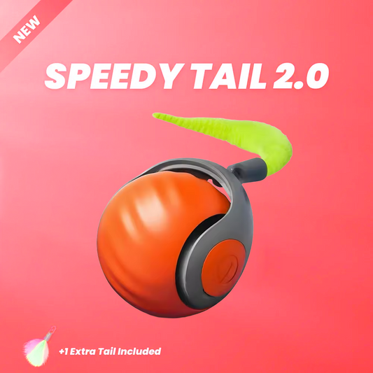 Speedy Tail 2.0